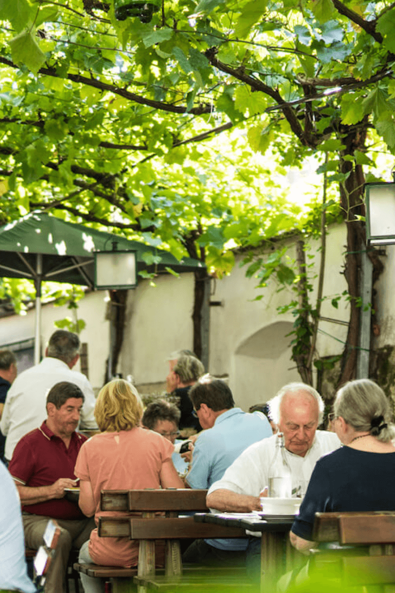 Schatte Weinlaube in Rust im Burgenland